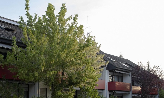 Bad Bergzabern Apartment | 2-bed apartment 31m² - Haus Tannenhof