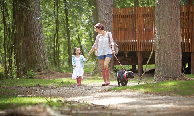 Pickering Cabin | 2 bedroom accommodation in Nr Pickering