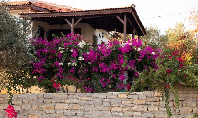 Mesudiye House | 2 bedroom house with sea and nature views
