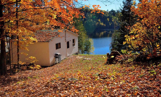 Hastings Highlands Cottage | 2 Bedroom Lakefront Cabin on Baptiste Lake
