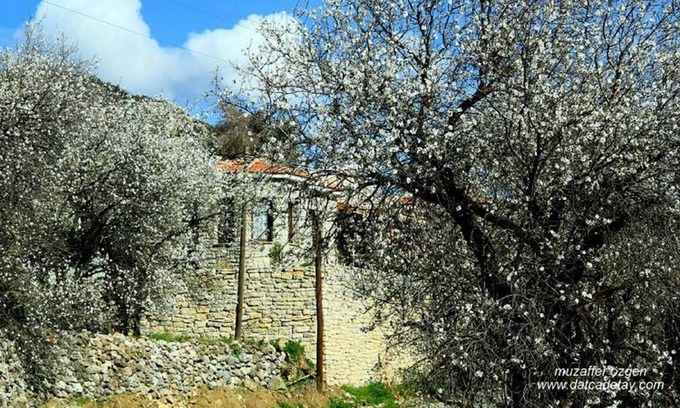 Mesudiye House | 2 bedroom lovely stone house with wonderful views