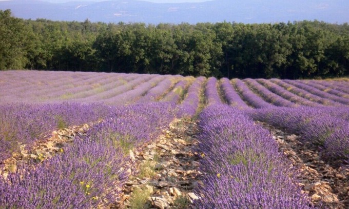 Saignon House | 2 Bedroom Private vacation home in Saignon