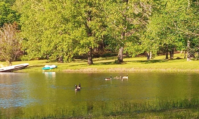 Adamsville Cabin | 2-Bedroom Tiny Home with full kitchen, laundry, wifi, and beautiful pond views