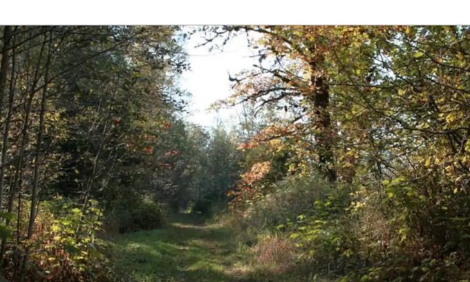Sardis Cabin | #2 Eco Retreat Cabin! Fish/Bring Horses/ATV/Kayak!