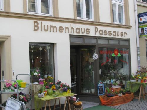 Greifswald Apartment | 2 Ferienwohnungen mitten in der Innenstadt