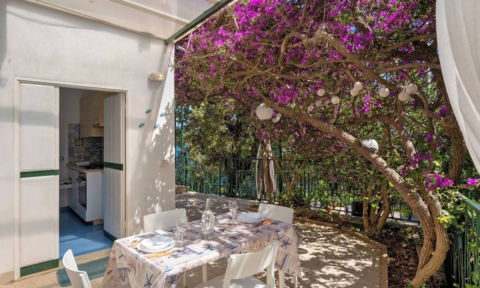 Erchie House | 2 holiday apartments 'Blue Green Apartments Amalfi Coast' with Sea View, Wifi, and Air Conditioning