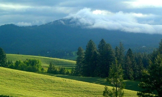 Moscow Other | 2 Rooms: Quiet queen & twin rooms on an alpaca farm for 2-4 guests