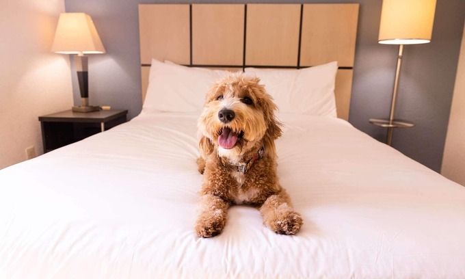 Morris Plains Hotel | 2 Spacious 1BR Suites Perfect for Families Visiting NYC - Pets welcome