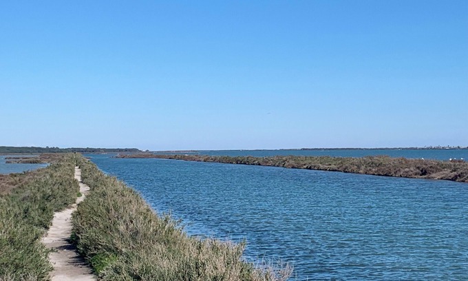Frontignan House | 2-star house, La garrigue with jacuzzi, 5min from beaches.