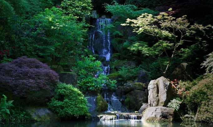Tanasbourne House | 2 Units Near Portland Japanese Garden! Indoor Pool, Pet-friendly Property!