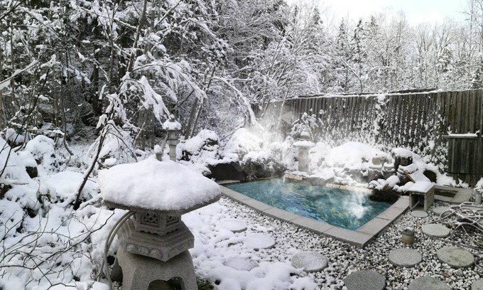 Shirogane Onsen Hotel | 20 m² Hotel ∙ 1 bedroom ∙ 2 guests