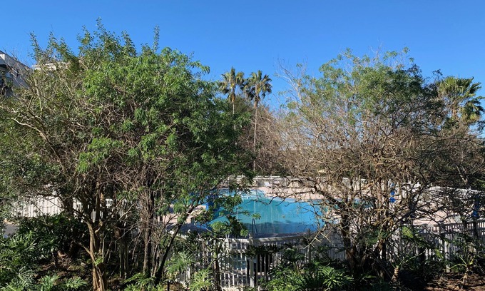 Florida Center Apartment | 2205 -The heart of International Dr/Universal