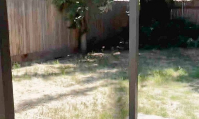 Fresno Condo | 2247 W Dakota Fresno · Nice King Bed! Fenced BackYard- W/D and Parking!