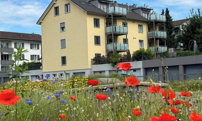 Wallisellen Apartment | 3.5-Room Sunrise Terrace Haven (FR-32)