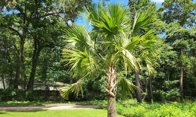Crawfordville House | 3 Bedroom 15 minutes from beach