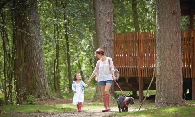 Pickering Cabin | 3 bedroom accommodation in Nr Pickering