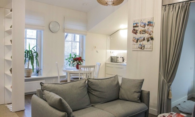 Business District House | 3 Bedroom Apartment with Fireplace in City Center