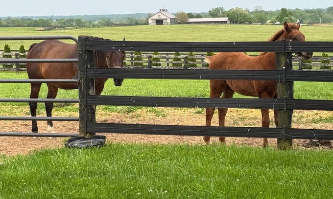 Georgetown Cottage | 3 bedroom cottage on horse farm close to Kentucky Horse Park, Keeneland, the Ark