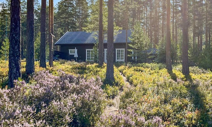 Nissedal House | 3 bedroom cozy home in Treungen