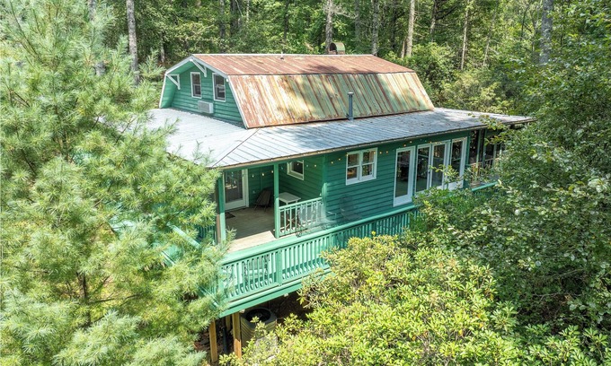 Cedar Mountain Cabin | 3 Bedroom Dog-Friendly Cabin Near Dupont State Forest