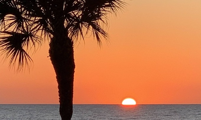 Hammocks Of Palm Harbor House | 3-bedroom vacation home just 10 minutes from Honeymoon Island - Heated Pool