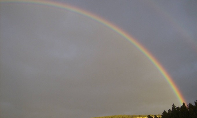 Nemo House | 3 Bedrooms, 1 den; 4 queen size beds; 2-bathroom Home in Historic Nemo