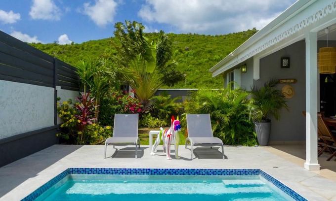 Marigot Villa | 3 bedrooms villa at Marigot 150 m away from the beach with private pool enclosed garden and wifi