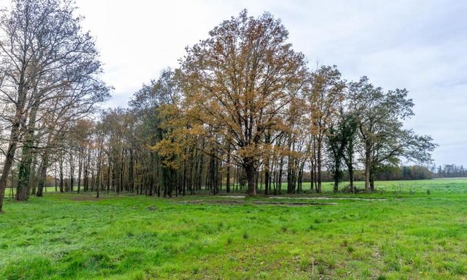 Chemery House | 3 ch, 2 salle de bain, 20 min Beauval et Chambord