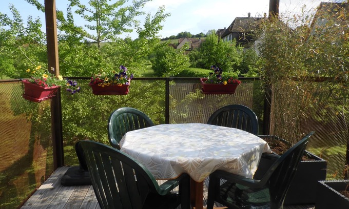 Barr Apartment | 3 * cottage with terrace suspended in the heart of the vineyards