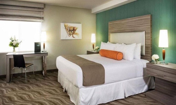 Little Italy Hotel | 3 Eco-Friendly King Suites in Little Italy, Walk to Dining and Trolley