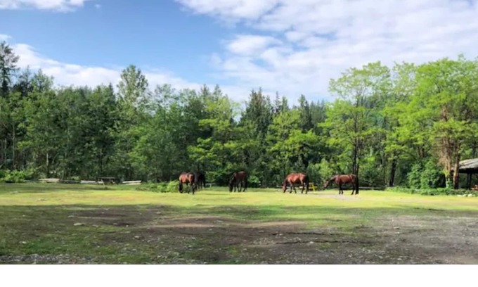 Sardis Cabin | #3 Eco Retreat Cabin! Fish/Bring Horses/ATV/Kayak!