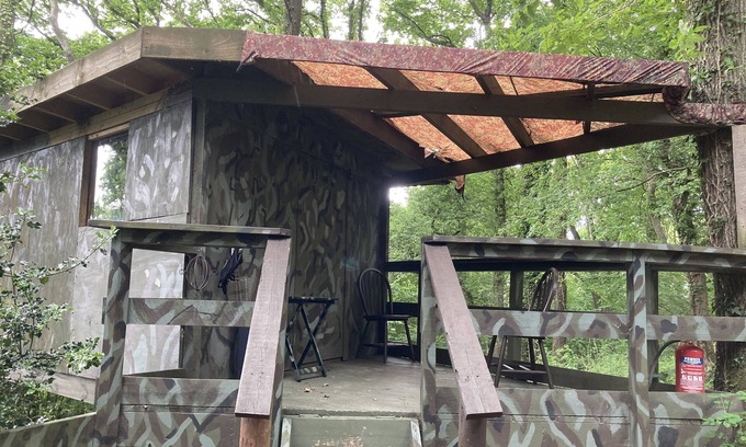 Longhope Cabin | 3 Guests - Pet Friendly - Grid Tree-House