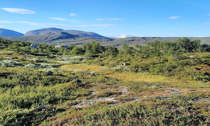 Svenstavik House | 3 person holiday home in Svenstavik