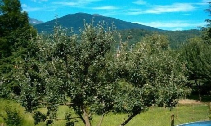 Oust House | 3-room guest house any comfort with private swimming pool, very quiet