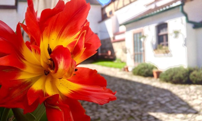 Zwatzen Apartment | 3 Seiten Ferienwohnung
