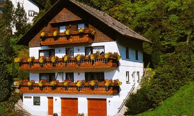 Bad Rippoldsau-Schapbach Apartment | 3 star apartment, sunny location facing south, marvellous view, winter sports
