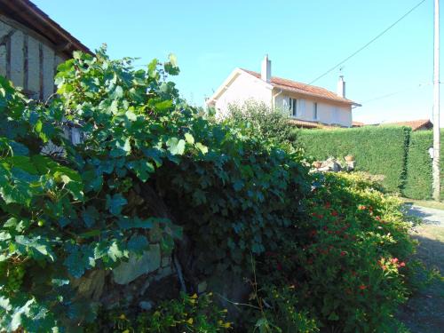 Yzosse House | 325 Route du Fourou