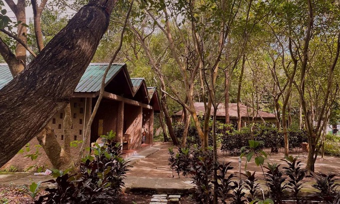 Neil Island Resort | 33 m² Resort ∙ 3 guests