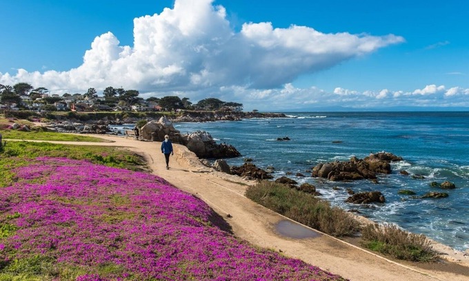 Pacific Grove House | 3812 Little House - Nightly Rental, Historic Home, Just Steps to Coast Trail