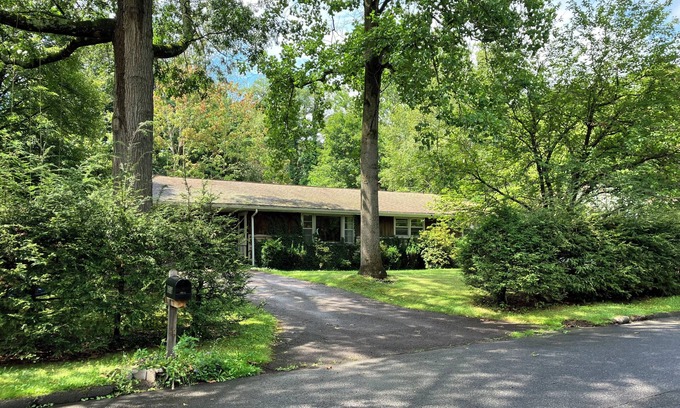 Williamsport House | 4 bed 2 bath Mid century modern in Vallamont, 10 mins from Lamade Stadium.