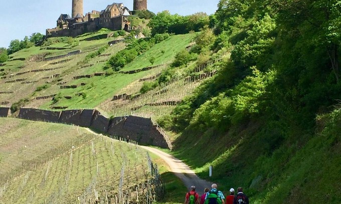 Bernkastel Apartment | 4-bed apartment "Doctorberg II" - Ambiente WeinStein