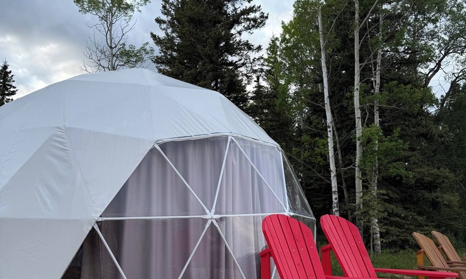 Hinton Cabin | #4 Dome - Jasper Gateway Glamping