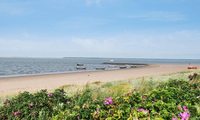 Hjerting House | 4 person holiday home in Esbjerg V