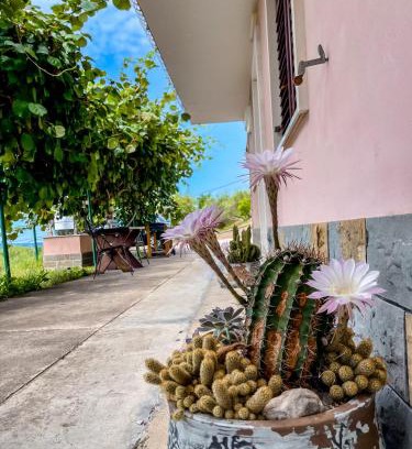 Piran House | 4 Roses Residence