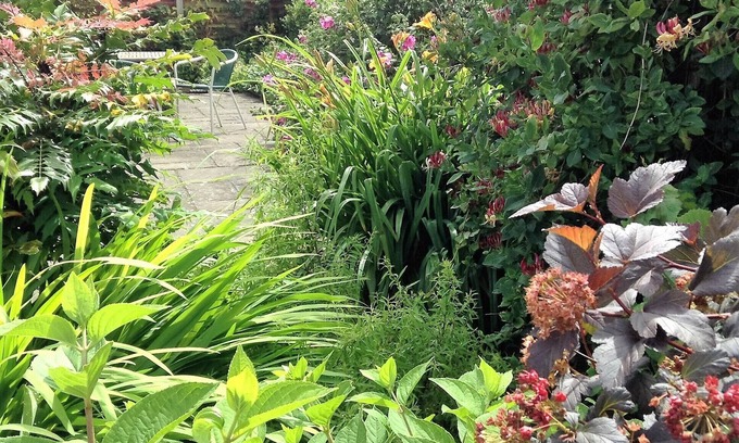 Maidstone Cottage | 4 star tourist board rated. Truly rural, on a farm. Pet friendly. Peaceful area.