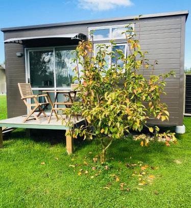 Otorohanga Bed & Breakfast | 40 Winks