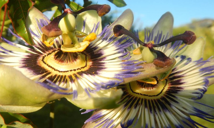 Brauneberg Apartment | 45 m² Apartment ∙ 1 bedroom ∙ 2 guests