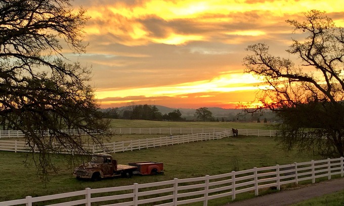 Templeton House | 46W/Winery close, Bocce! Perfect for 1 couple, multi-adult, family! Dog Friendly