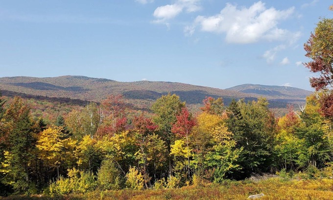 Ludlow Cabin | 4BR mountain cabin w/deck & slope views