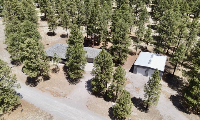 Flagstaff Cabin | 5 Acres - Hot Tub - King Bed Suites - Ping Pong - Pool - 9 Hole Disc Golf